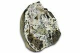 Druzy Quartz Encrusted Calcite with Amethyst Crystals - India #367819-1